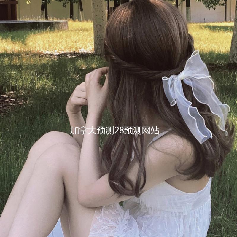 加拿大预测28预测网站