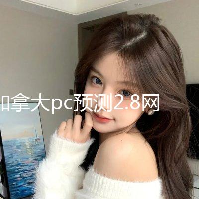 加拿大pc预测2.8网站